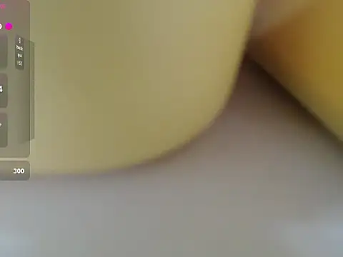 Lovensetest webcam