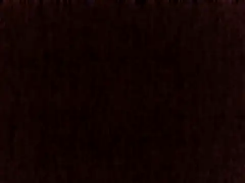 sugarnova254 webcam