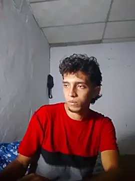 Noscay webcam