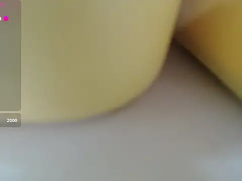 Lovensetest webcam