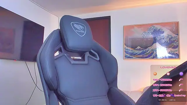 RJBarto webcam