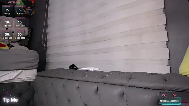dirty_27cms webcam