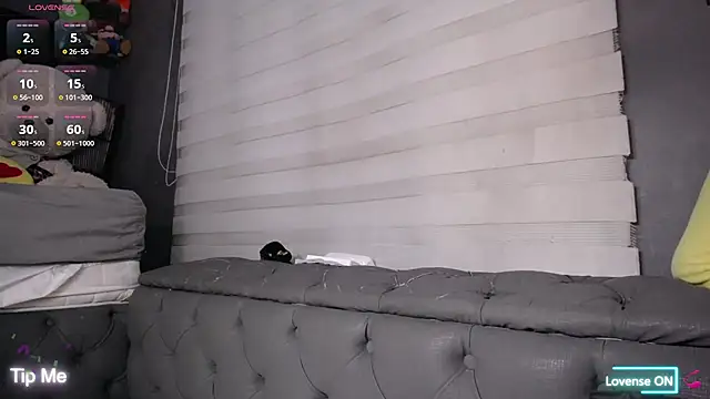 dirty_27cms webcam