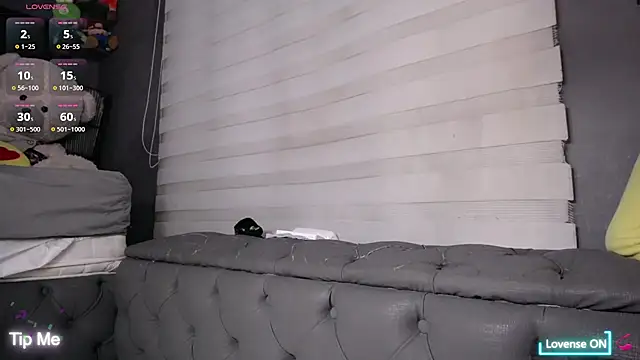 dirty_27cms webcam