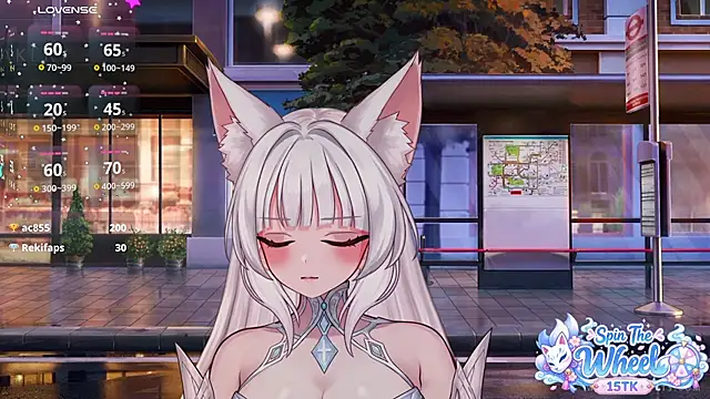 MiyariFox webcam