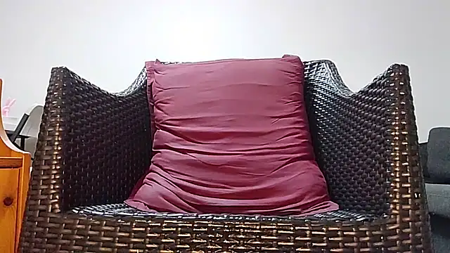 Tyyson03 webcam