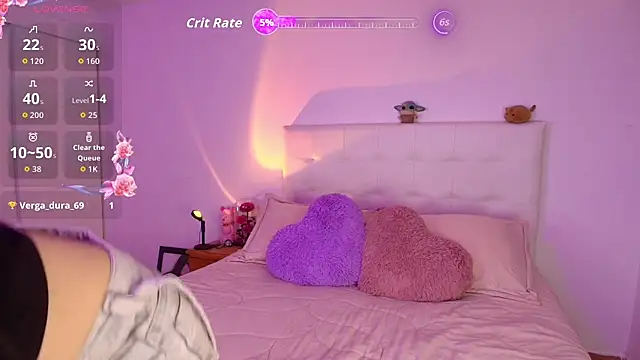 arye_lle webcam