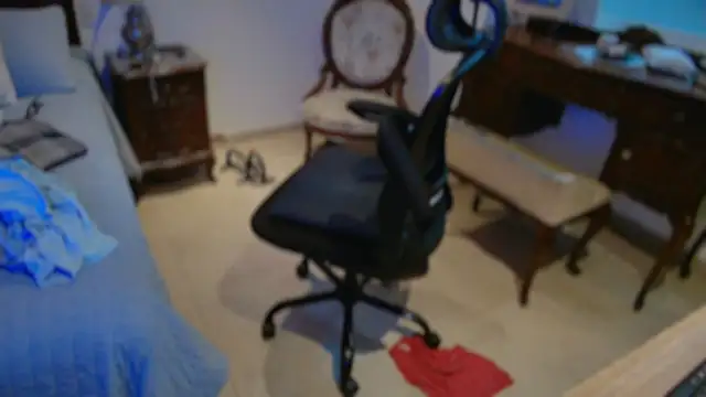 twdspunpig webcam