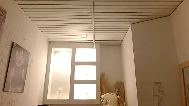 Haddes_as webcam