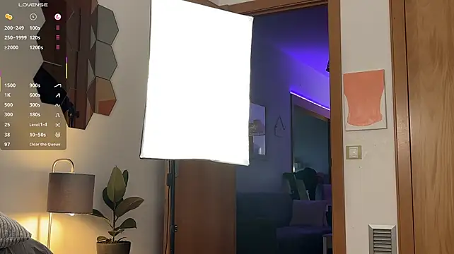 tim_beard webcam