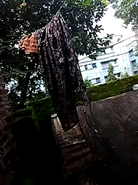 Bhabhi-Devar- webcam