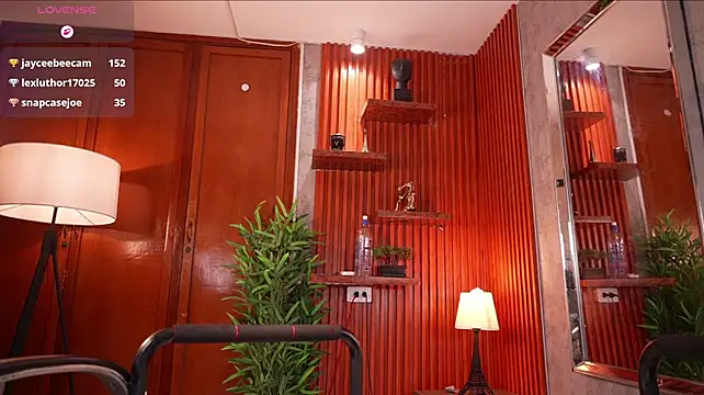 David_capizzi_ webcam