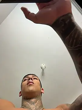 sendfer webcam