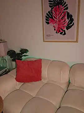 ColibriBlack webcam