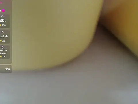 Lovensetest webcam