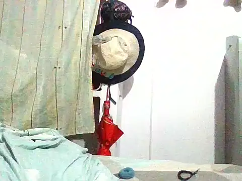 RUKMINI_60 webcam