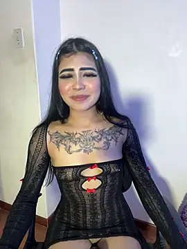 -Brittanny webcam