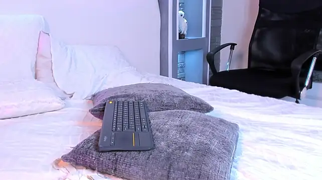 isa_littlestar webcam