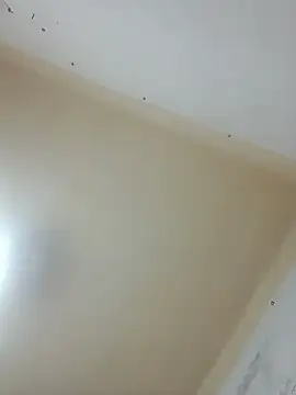 Salma_dalouaa webcam