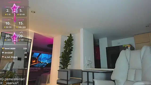 _veenus webcam