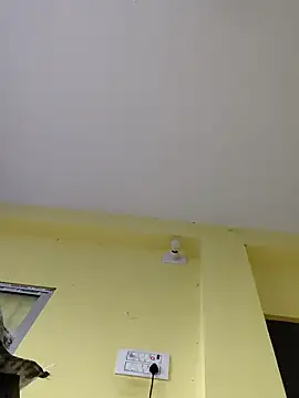 Minakshi-Gi webcam