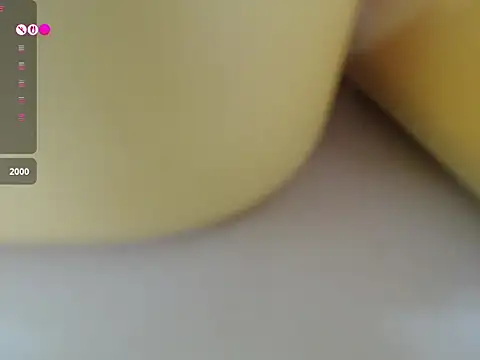 Lovensetest webcam