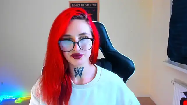your_tora webcam