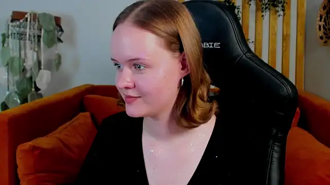 AdaRune webcam
