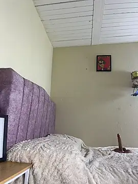 Zulval webcam