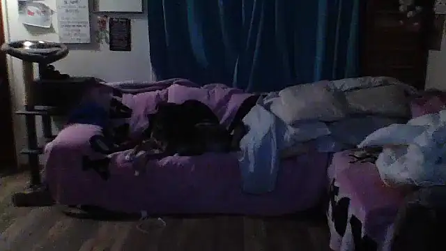 stich_wants_babmi webcam