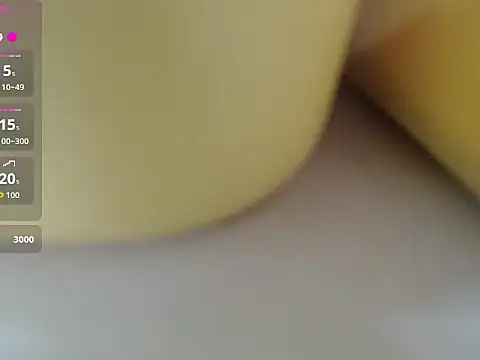 Lovensetest webcam