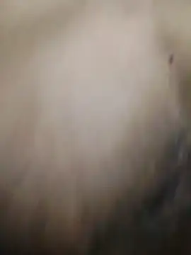Noscay webcam