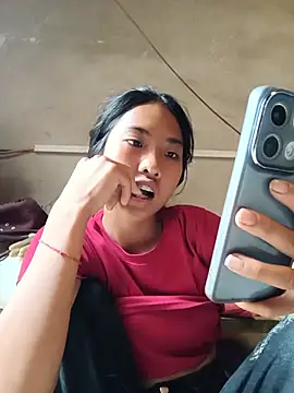 Hoa-tuylip