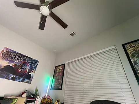 4EVAGLACIERS webcam