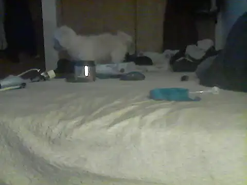 Silencio26 webcam