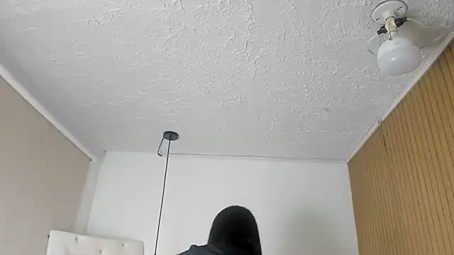 Mishka__ webcam