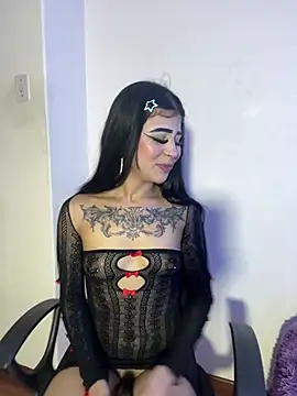 -Brittanny webcam