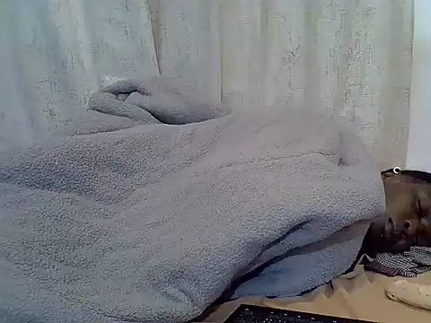 Sexymaggy12 webcam