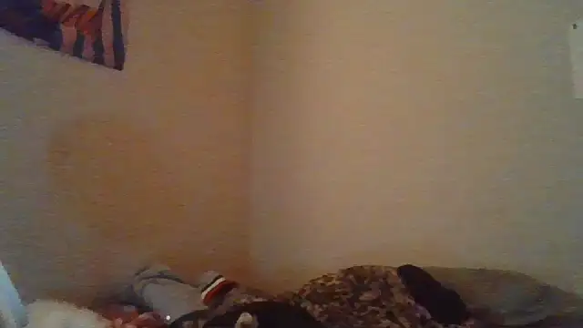 simechasi live cam on StripChat