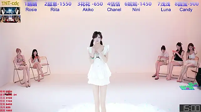 TNT-cdc webcam