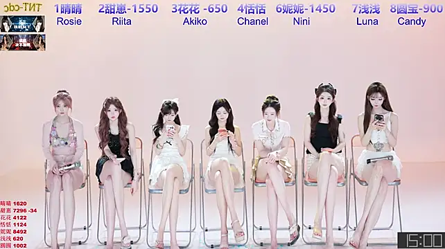 TNT-cdc webcam
