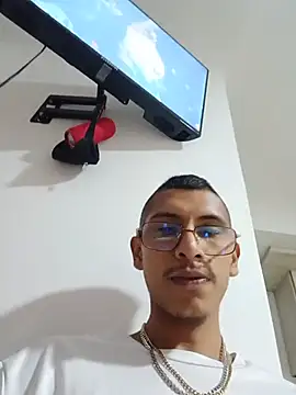 Hard_brown03 webcam