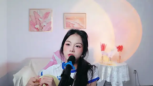 Lanmei01 webcam