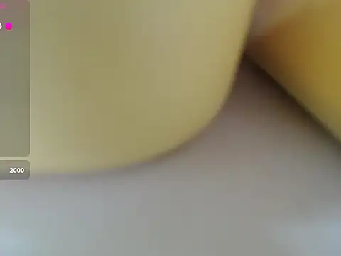 Lovensetest webcam