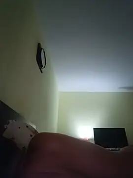 sedgjlx webcam
