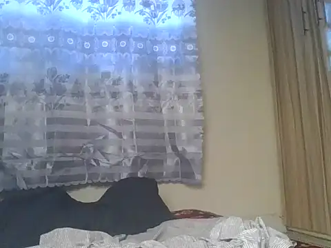 Nubian_booby webcam