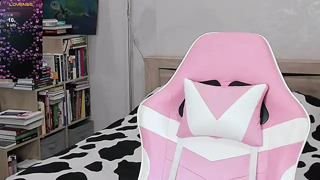 bbJ_one webcam