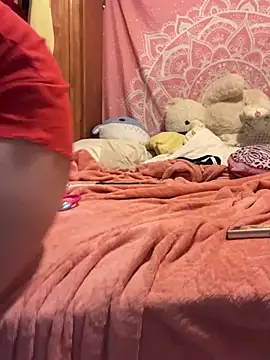 LaPetitechienne1 webcam