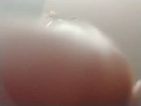 ReallyReallyReal webcam
