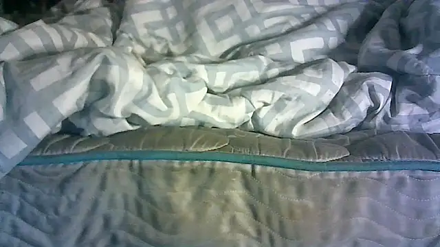 CR3M3_FIR3 webcam